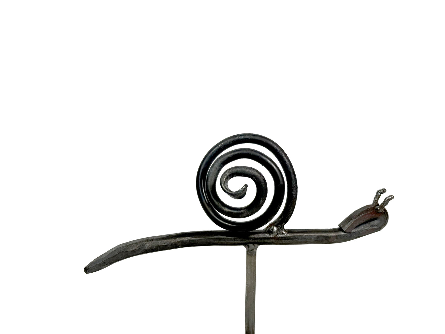 Schnecke mit Metallpin